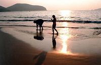 Collecting chiquiliquis at the beach