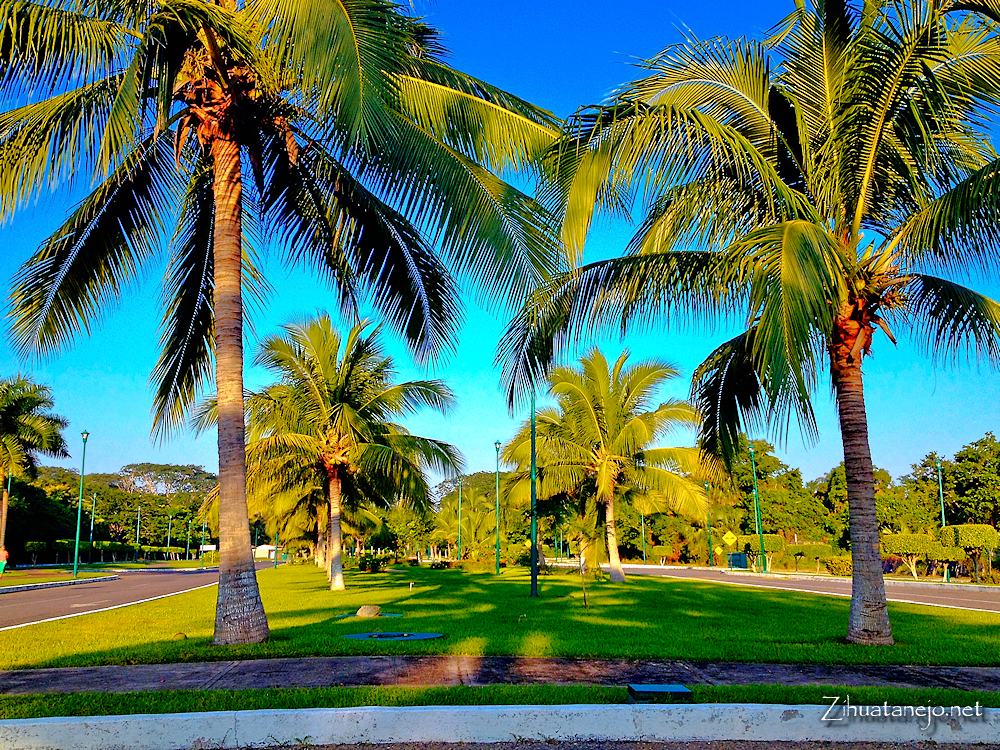 Paseo de los Viveros, Ixtapa Paseo de los Viveros, Ixtapa