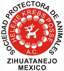 Sociedad Protectora de Animales de Zihuatanejo Sociedad Protectora de Animales de Zihuatanejo