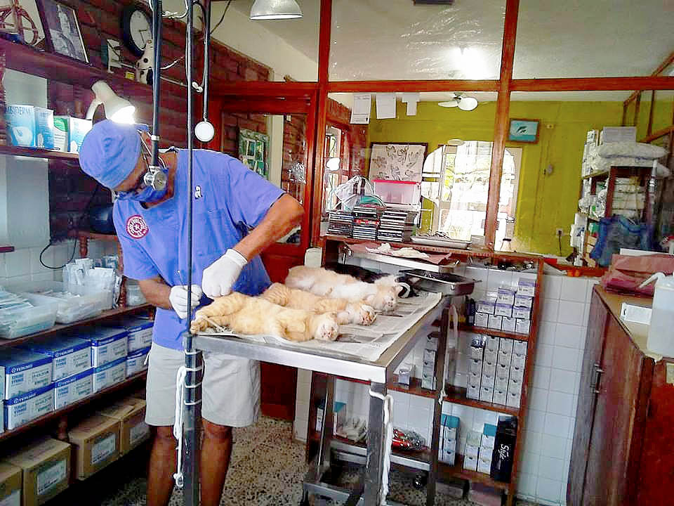 Programa SPAZ de esterilización Programa SPAZ de esterilización