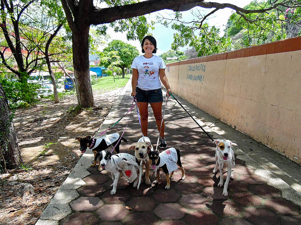 Voluntario SPAZ caminando perros Voluntario SPAZ caminando perros