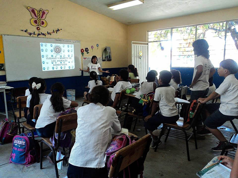 SPAZ en la escuela SPAZ en la escuela
