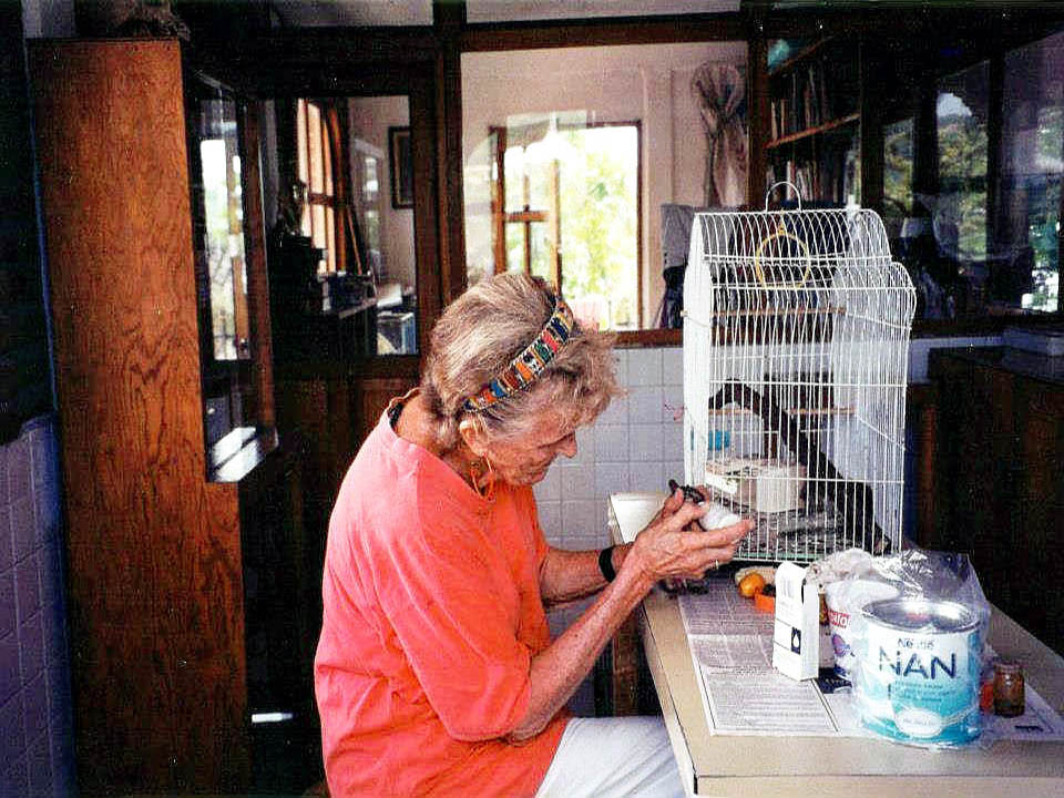 Doña Helene Krebs Doña Helene Krebs